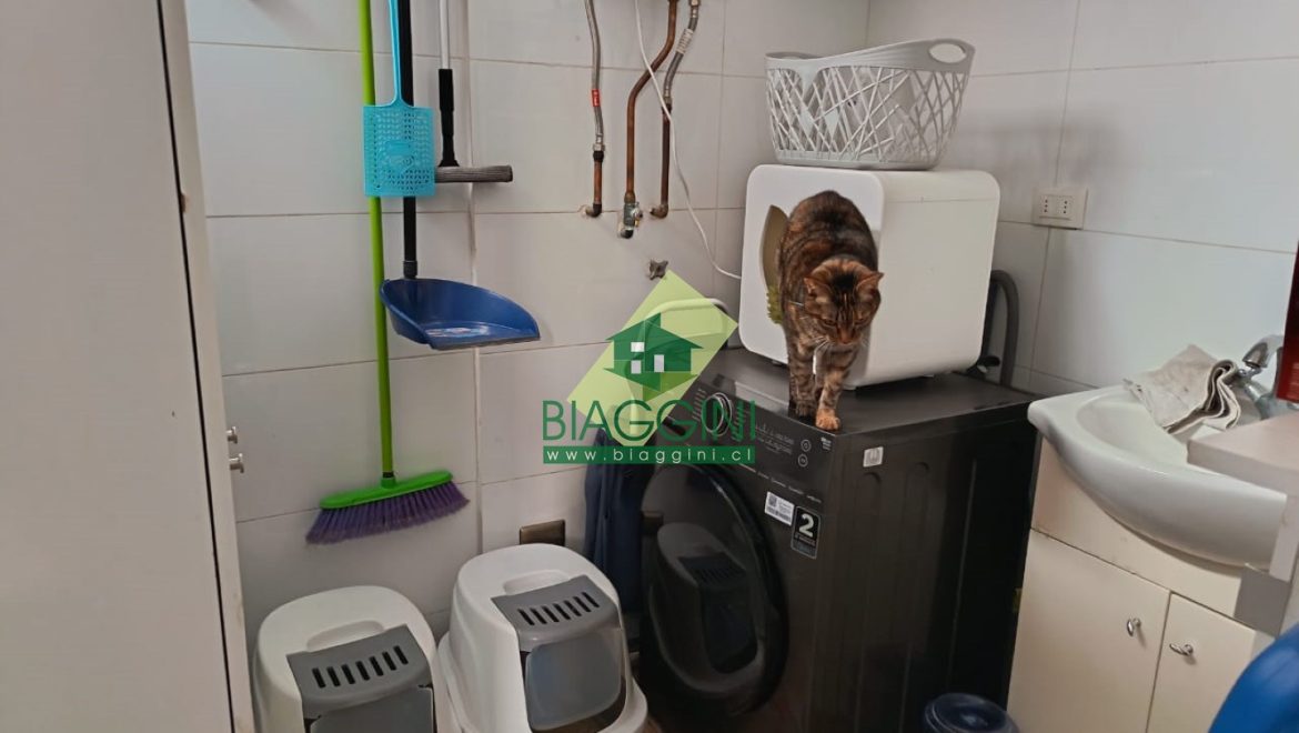 Foto 13