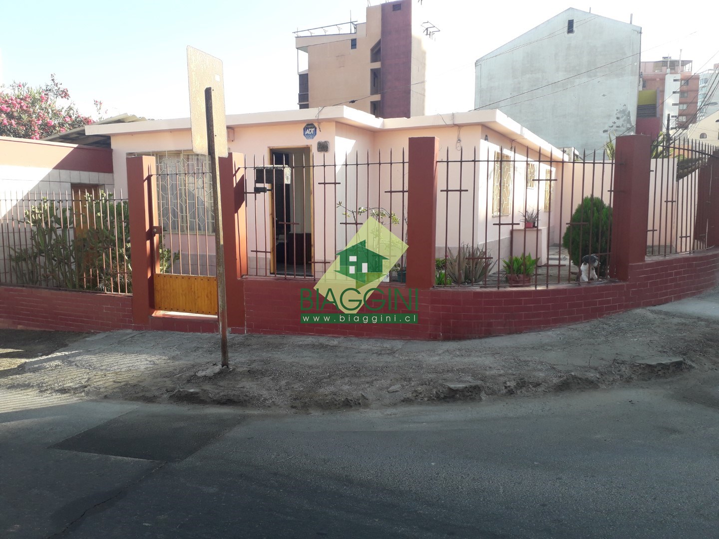 ID 50369 Calle Julio Pistelli N°787